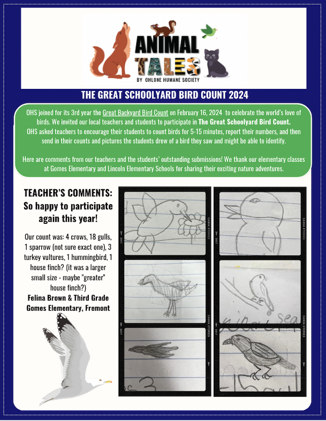 Animal Tales Bird Count 2024