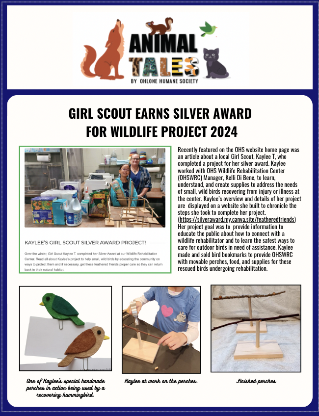Animal Tales: Girl Scout Silver 2024 Kaylee