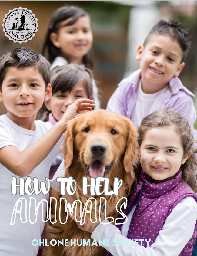 How to Help Animals cover