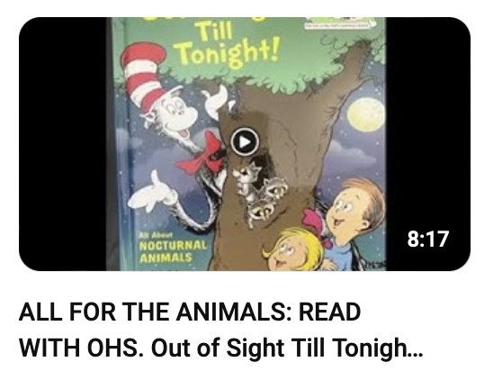 Out of Sight YouTube Image