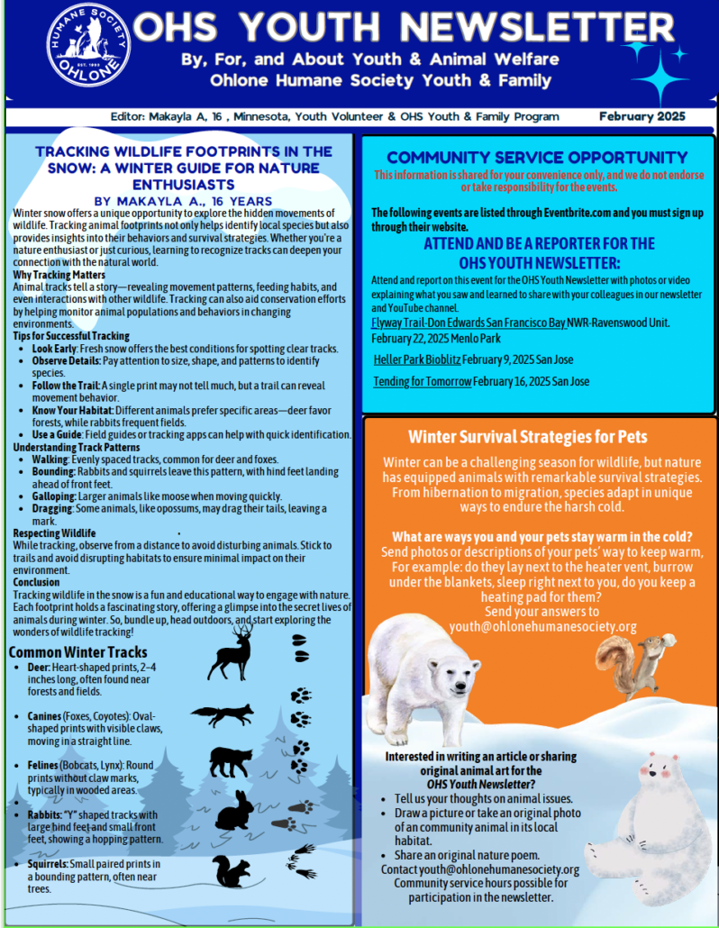 Youth Newsletter Feb 2025