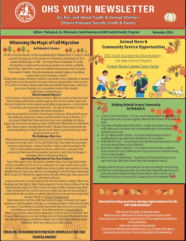 Youth Newsletter November 2024