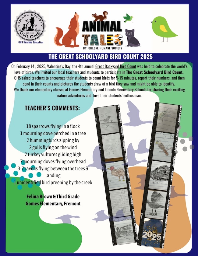 Animal Tales: Great Schoolyard Bird Count 2025 - 1