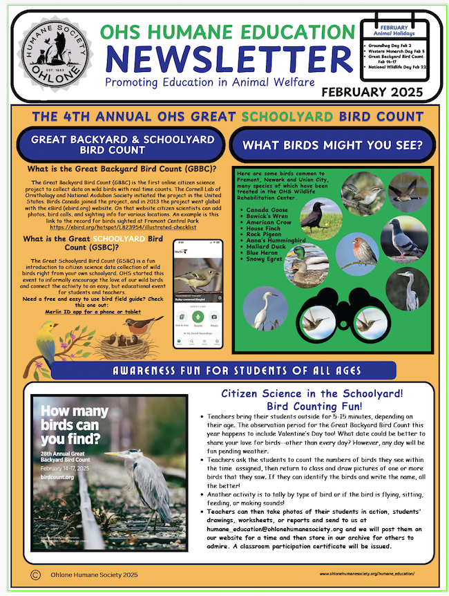 HE Newsletter Feb 2025