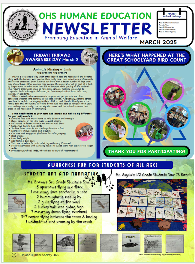 HE newsletter March 2025