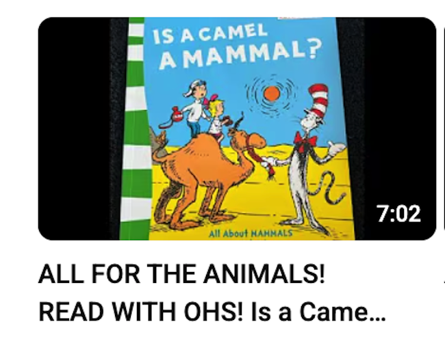 All for the animals camel