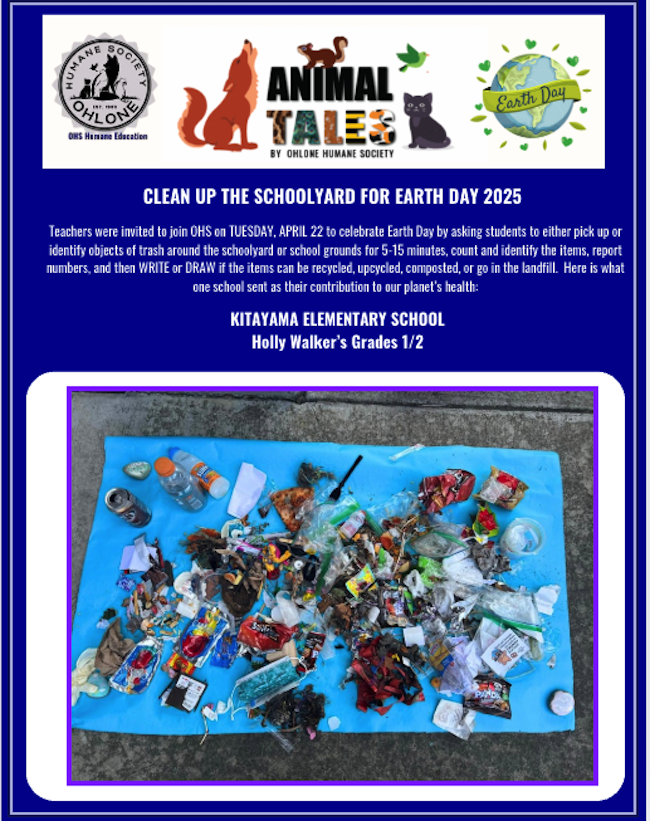 Animal Tales Clean Up the Schoolyard 2025