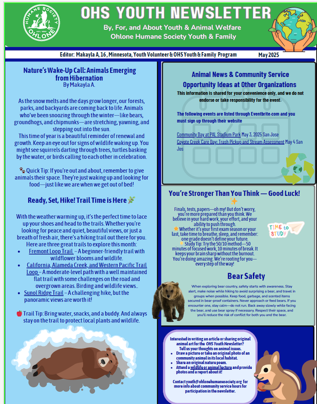 Youth Newsletter May 2025 image