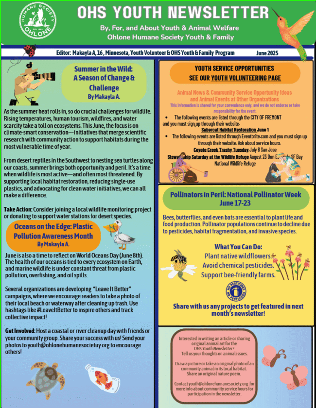 OHS Youth Newsletter June 2025